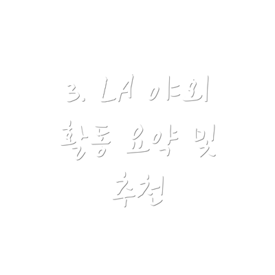 3. LA 야외 활동 요약 및 추천