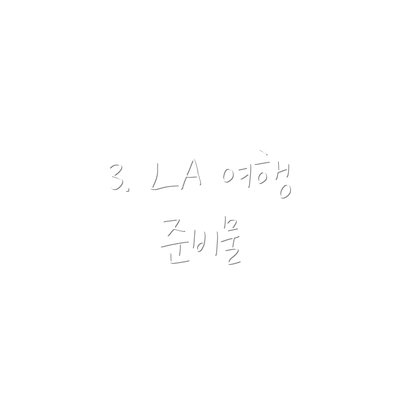 3. LA 여행 준비물