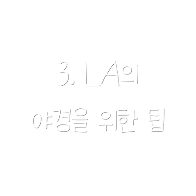 3. LA의 야경을 위한 팁