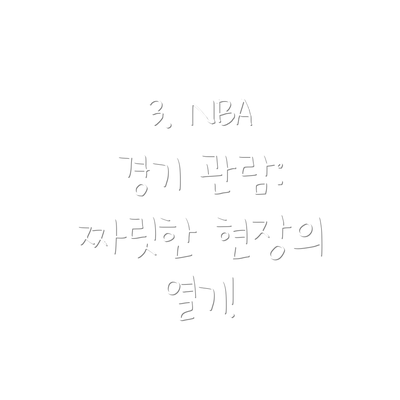 3. NBA 경기 관람: 짜릿한 현장의 열기!