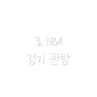 3. NBA 경기 관람