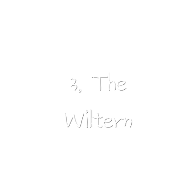 3. The Wiltern