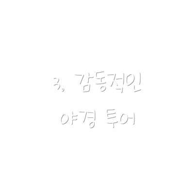 3. 감동적인 야경 투어