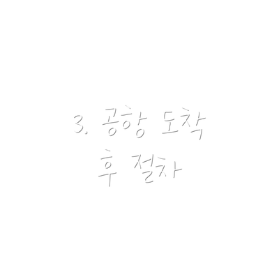3. 공항 도착 후 절차