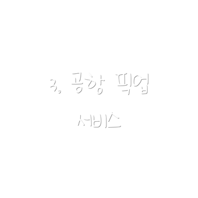 3. 공항 픽업 서비스