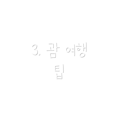 3. 괌 여행 팁