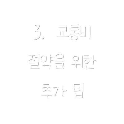 3.  교통비 절약을 위한 추가 팁