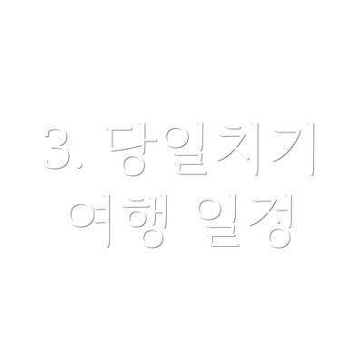 3. 당일치기 여행 일정