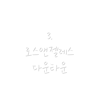 3. 로스앤젤레스 다운타운