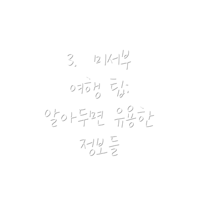 3.  미서부 여행 팁:  알아두면 유용한 정보들
