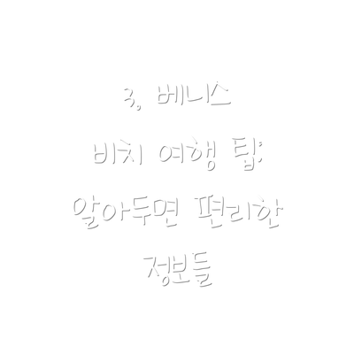 3. 베니스 비치 여행 팁: 알아두면 편리한 정보들