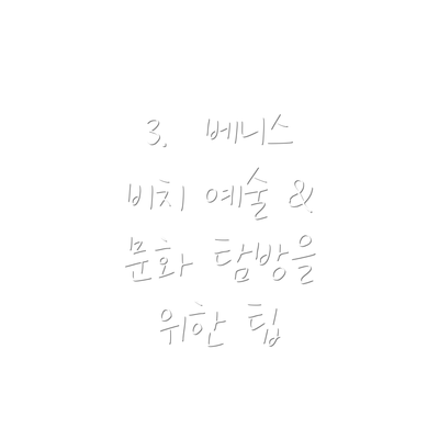 3.  베니스 비치 예술 & 문화 탐방을 위한 팁