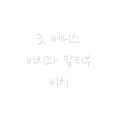 3. 베니스 비치와 말리부 비치