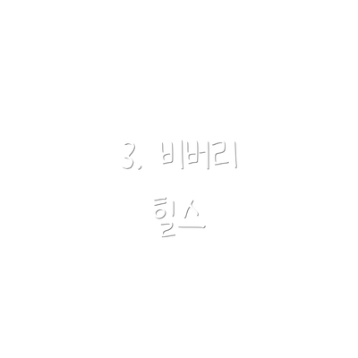 3. 비버리 힐스