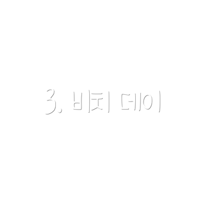 3. 비치 데이