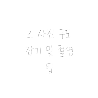 3. 사진 구도 잡기 및 촬영 팁