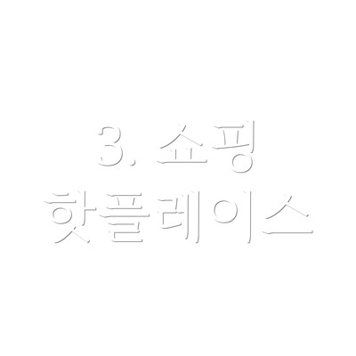 3. 쇼핑 핫플레이스