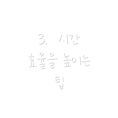 3.  시간 효율을 높이는 팁