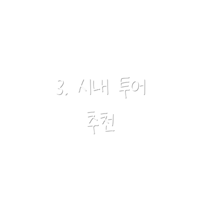 3. 시내 투어 추천