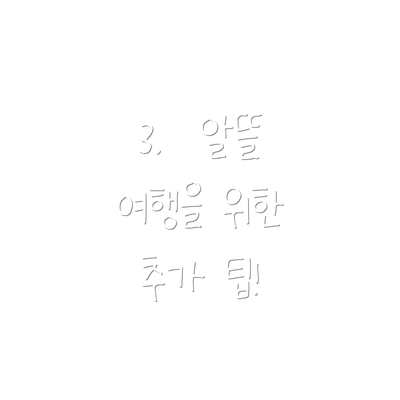 3.  알뜰 여행을 위한 추가 팁!