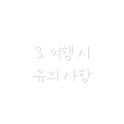 3. 여행 시 유의 사항