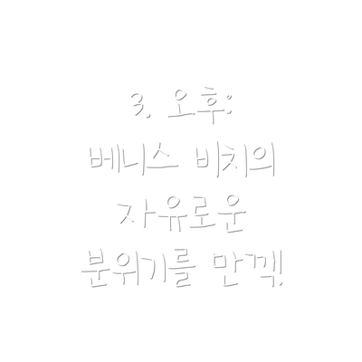 3. 오후:  베니스 비치의 자유로운 분위기를 만끽!
