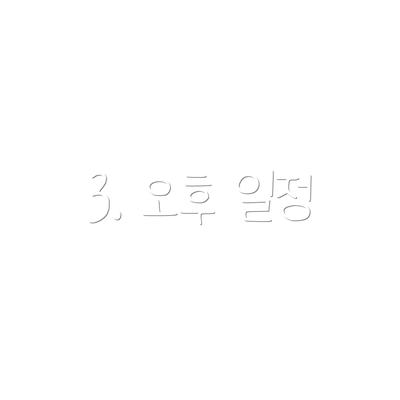 3. 오후 일정