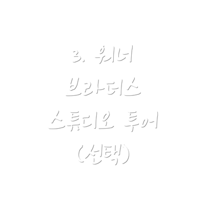 3. 워너 브라더스 스튜디오 투어 (선택)