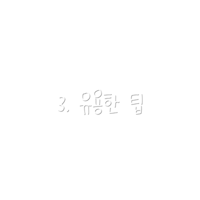 3. 유용한 팁