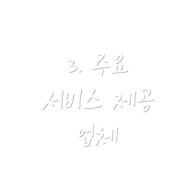 3. 주요 서비스 제공 업체