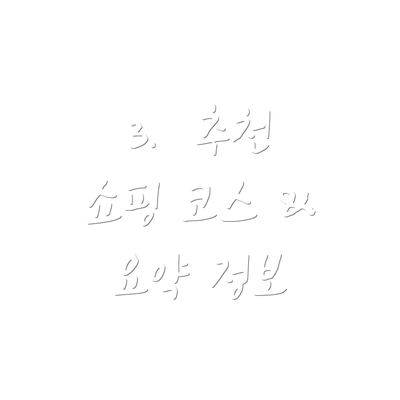 3.  추천 쇼핑 코스 &  요약 정보