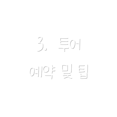 3.  투어 예약 및 팁