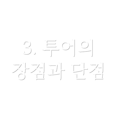 3. 투어의 장점과 단점