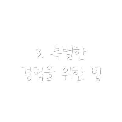 3. 특별한 경험을 위한 팁
