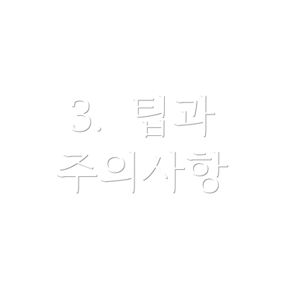 3.  팁과 주의사항