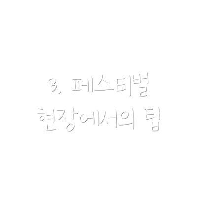 3. 페스티벌 현장에서의 팁