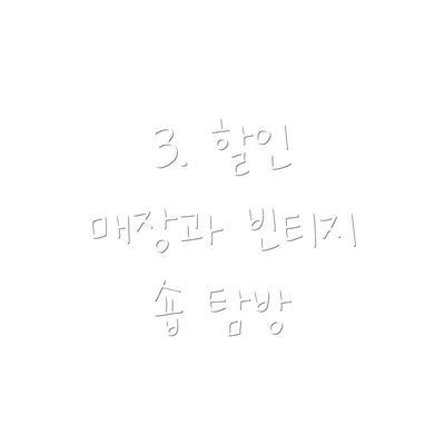 3. 할인 매장과 빈티지 숍 탐방