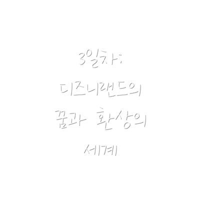 3일차:  디즈니랜드의 꿈과 환상의 세계