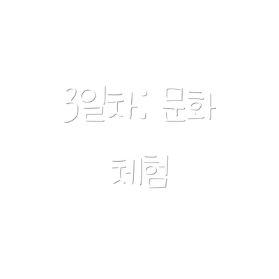 3일차: 문화 체험