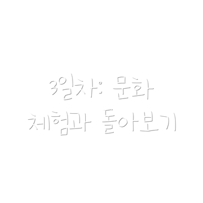 3일차: 문화 체험과 돌아보기