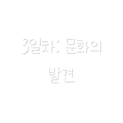 3일차: 문화의 발견