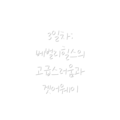 3일차:  베벌리힐스의 고급스러움과 겟어웨이