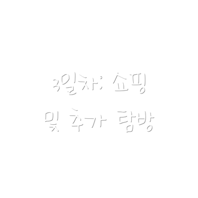 3일차: 쇼핑 및 추가 탐방