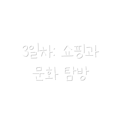 3일차: 쇼핑과 문화 탐방
