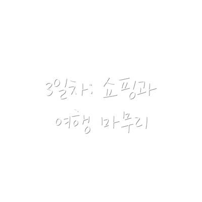 3일차: 쇼핑과 여행 마무리
