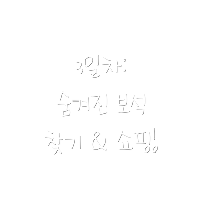 3일차:  숨겨진 보석 찾기 & 쇼핑!