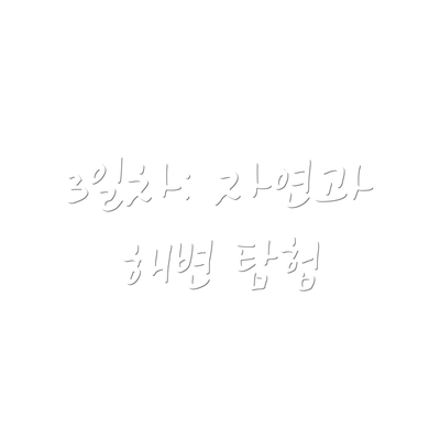 3일차: 자연과 해변 탐험