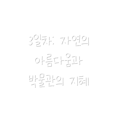 3일차: 자연의 아름다움과 박물관의 지혜