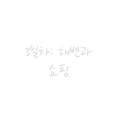 3일차: 해변과 쇼핑