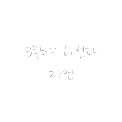 3일차: 해변과 자연